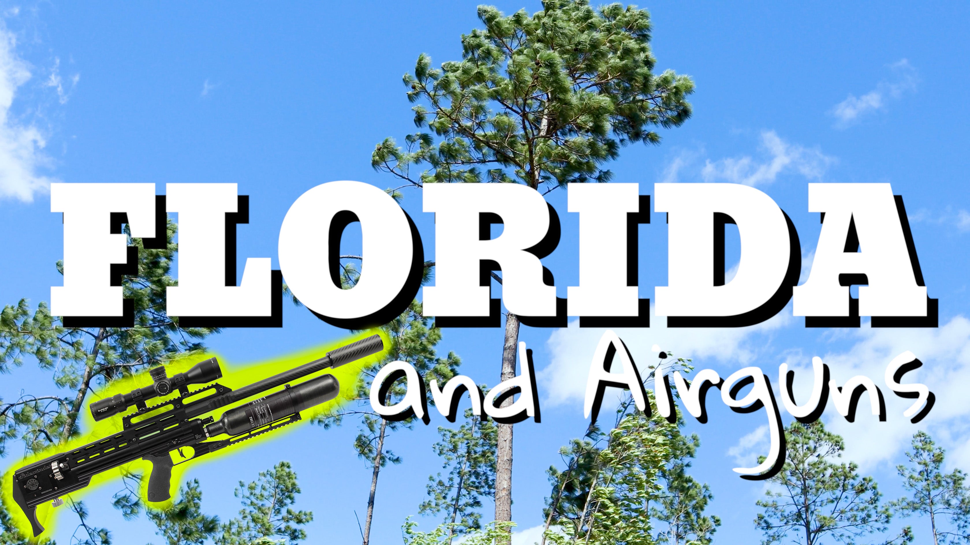 載入影片：Western Airguns Sidewinder Full Review (Part 2)