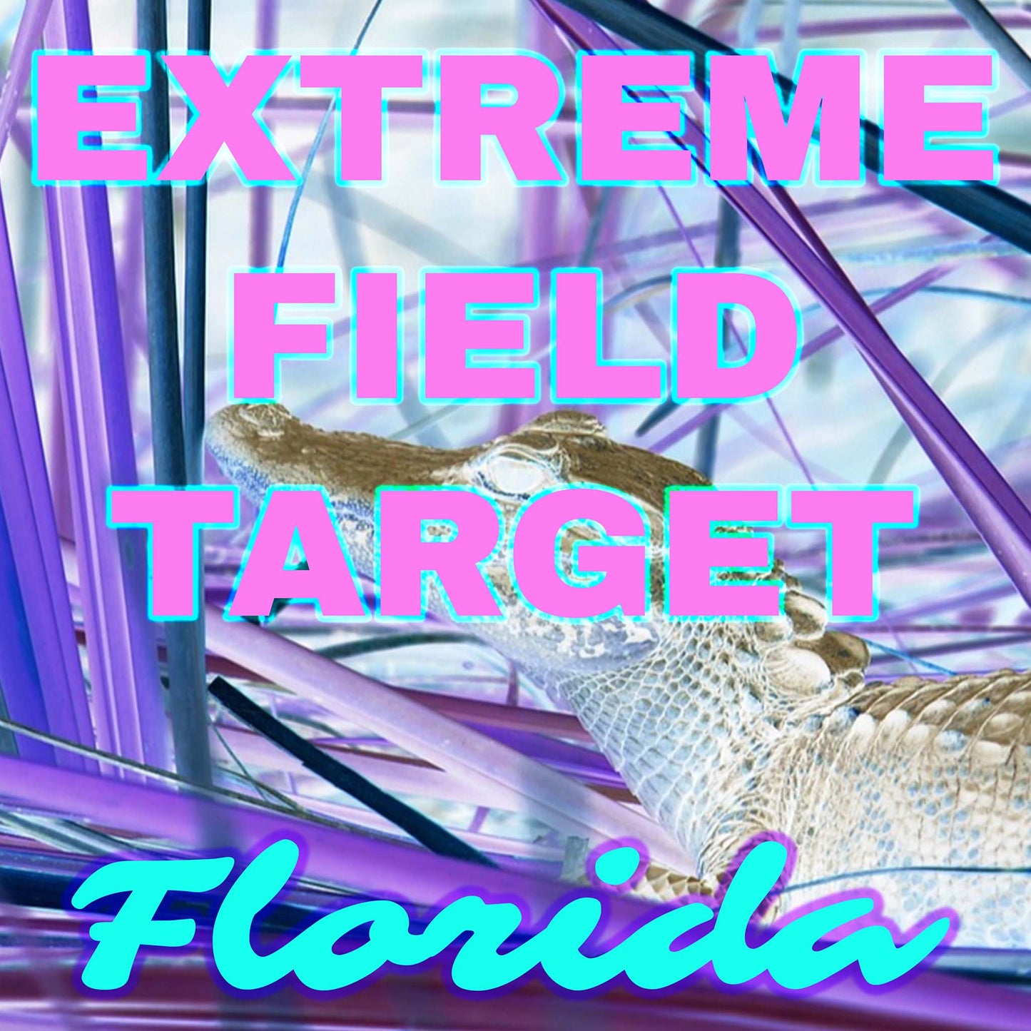 Extreme Field Target Grand Prix Florida